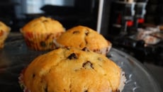 Muffins aux pépites de chocolat express et sans souci