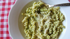 Rigatonis aux courgettes traditionnelles