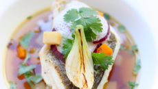 Merlu façon minestrone revisitée et son émulsion coco