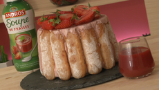 Charlotte aux fraises Andros