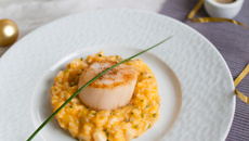 Risotto crémeux de potiron et Ortolan, noix de Saint-Jacques poêlées à l'huile de noisette