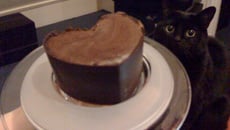 P'tites mousses au chocolat noir en coque