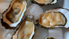 Huîtres de Normandie en gelée