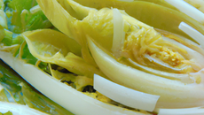 L'endive enfermée