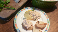 Rillettes de saumon faciles
