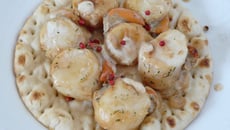 Tarte aux Saint Jacques