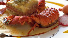 Médaillons de Ratte du Touquet, homard à l'émulsion de châtaigne