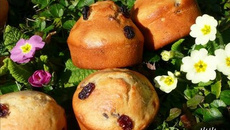 Muffins Rhum Raisins