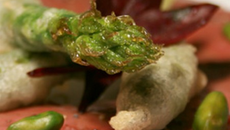 Carpaccio de magret de canard à l'huile de pistache, frites d'asperges du Blayais