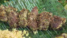 Brochettes de bœuf panées à la farine de manioc