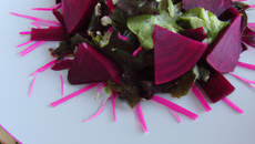 Salade rose à la betterave