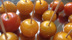 Tomates en pomme d'amour
