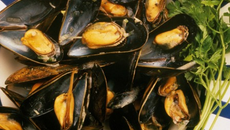 Mouclade de l'Aiguillon