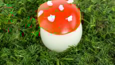 Œuf dur comme un champignon