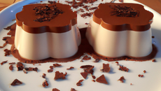 Bavarois 2 chocolats