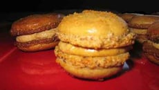 Macarons aux Spéculoos