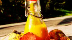 Velouté de potimarron classique