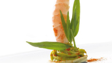 Sablé de livarot aux crevettes, Guacamole