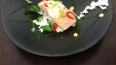 Saumon confit, œuf mimosa et feuilles liquides