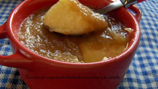 Cocotte de compote de rhubarbe sur crème à la vanille