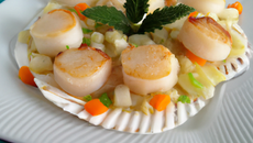 Noix de coquilles St Jacques, étuvée de légumes