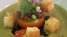 Velouté de tomate glacé crouton de tapenade verte