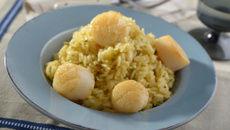 Risotto aux noix de Saint-Jacques