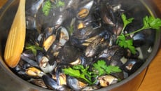 Moules au vin blanc et persil
