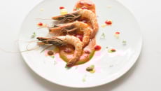 Gambas Bangkok marinées sauce coco à la Passata