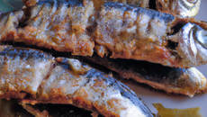 Marinade de sardines à la plancha