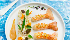 Risotto au champagne et langoustines