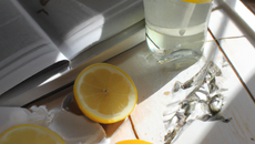 Citronnade fraîcheur