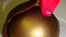 Passion chocolat ...