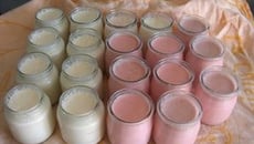 Yaourts roses aux pralines