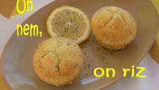 Moelleux aux deux citrons et au pavot