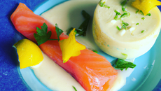 Panna cotta saumon citroné et aneth