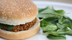 Burger de lentilles à la Mayonnaise