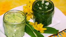 Pesto et beurre à l'ail des Ours