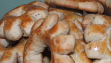 Brioche aux graines de fenouil