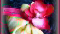 Aumônière de banane caramélisée et sa crème au spéculoos