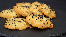 Biscuits apéritifs aux 3 fromages