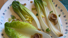 Feuilletés aux endives et aux poires