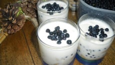 Verrine tiramisu aux myrtilles