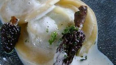 Ortica e Spugnola in Parmigiano