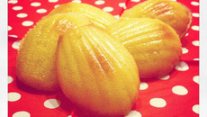 Ma petite madeleine de Proust