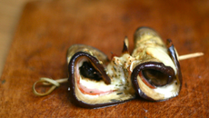 Roulés d'aubergine