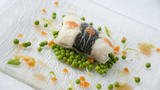 Transparence de cabillaud de Norvège