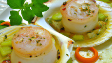 Coquilles Saint-Jacques marinées en roulade de concombre