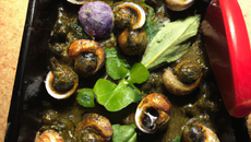 Aumônières d'escargots et de grenouilles