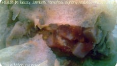 Feuilles de brick garnies aux tomates, dés de jambon et Philadelphia